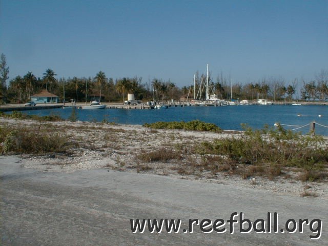 PIC00008