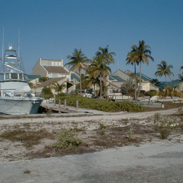 PIC00003 PIC00003