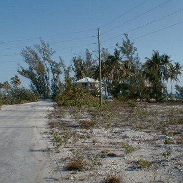 PIC00004 PIC00004