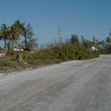 PIC00005 PIC00005