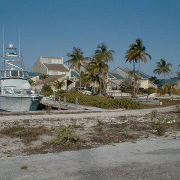 PIC00006 PIC00006