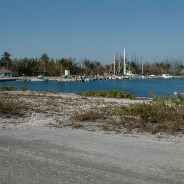 PIC00008 PIC00008