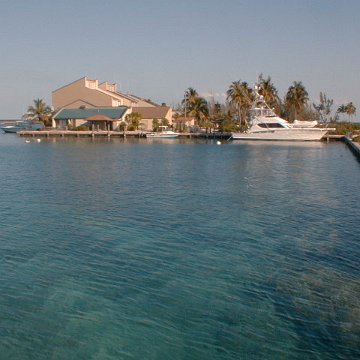PIC00009 PIC00009