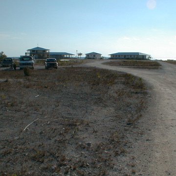 PIC00013 PIC00013