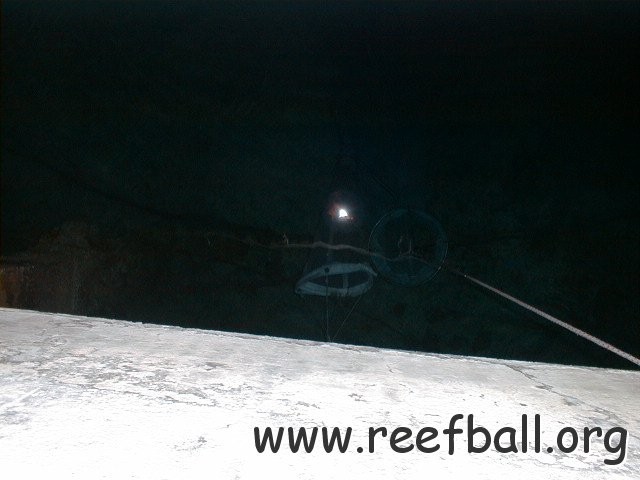 PIC00021
