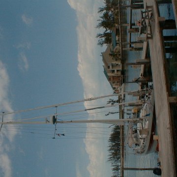 PIC00005 PIC00005