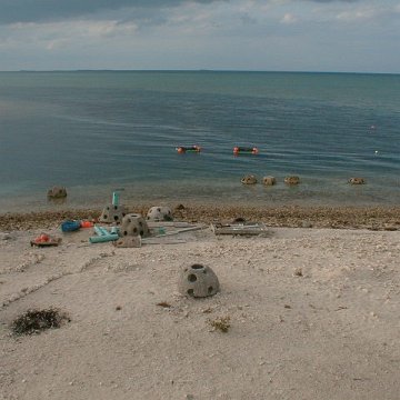 pic00012 pic00012