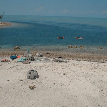 pic00025 pic00025