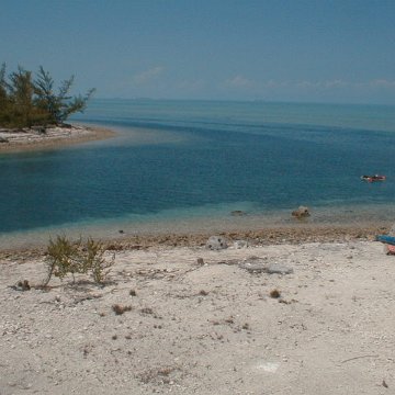 pic00029 pic00029