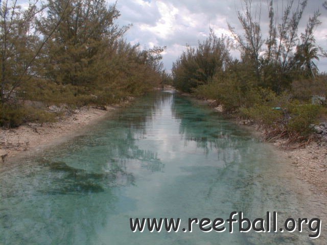 pic00008