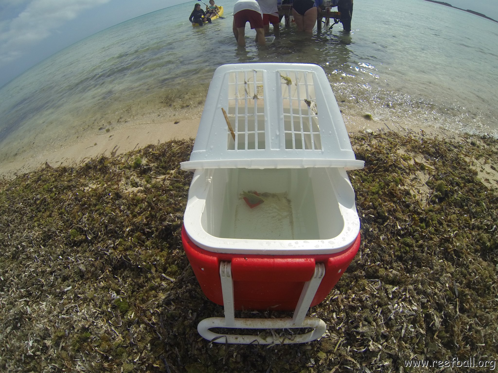 GOPR0299