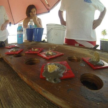 GOPR0163 GOPR0163