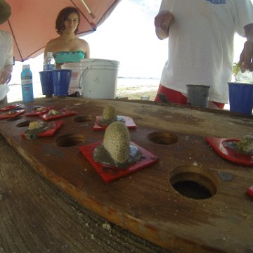 GOPR0164 GOPR0164