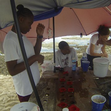 GOPR0167 GOPR0167