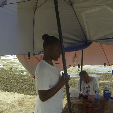 GOPR0169 GOPR0169