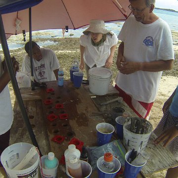 GOPR0170 GOPR0170