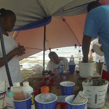 GOPR0172 GOPR0172