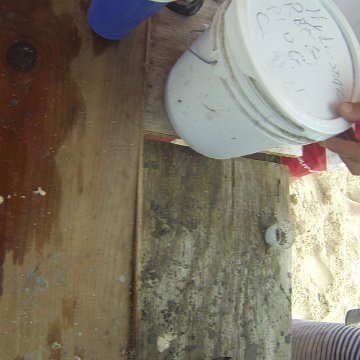 GOPR0175 GOPR0175