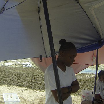 GOPR0197 GOPR0197