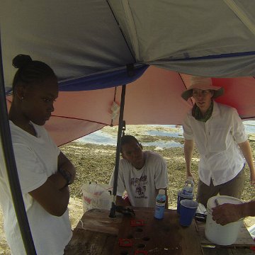 GOPR0199 GOPR0199