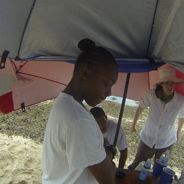 GOPR0209 GOPR0209
