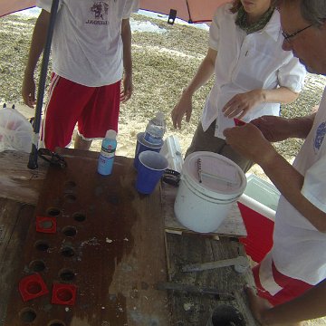 GOPR0234 GOPR0234