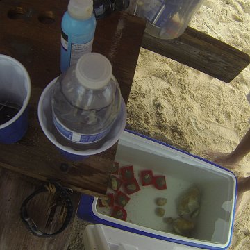 GOPR0240 GOPR0240