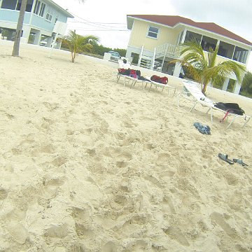 GOPR0241 GOPR0241