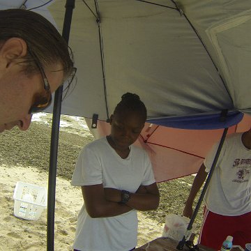 GOPR0252 GOPR0252