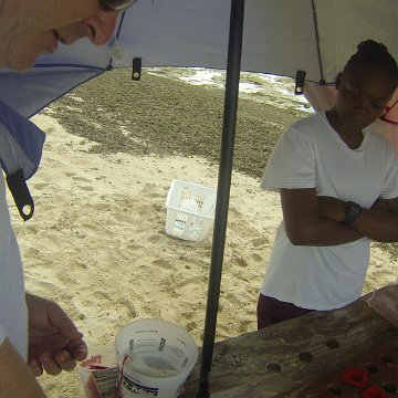 GOPR0254 GOPR0254