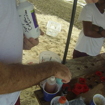 GOPR0255 GOPR0255