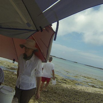 GOPR0256 GOPR0256