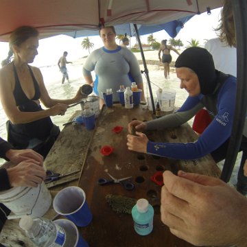 GOPR0270 GOPR0270
