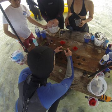GOPR0271 GOPR0271