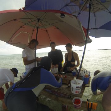 GOPR0273 GOPR0273