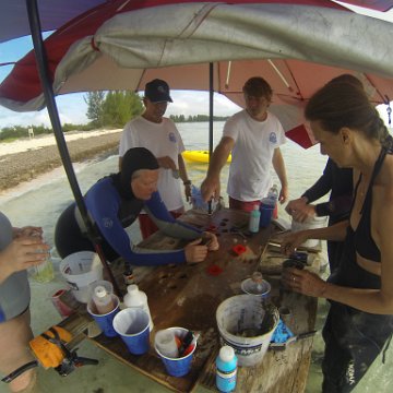 GOPR0279 GOPR0279