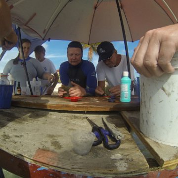 GOPR0281 GOPR0281