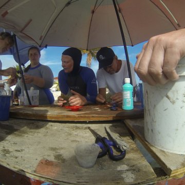 GOPR0282 GOPR0282