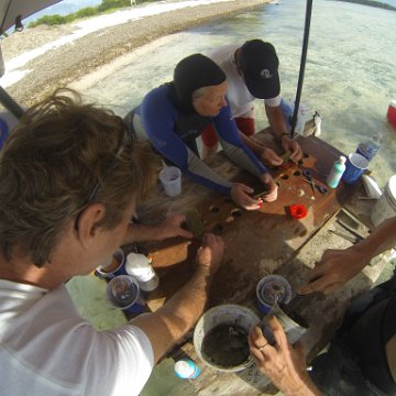 GOPR0284 GOPR0284