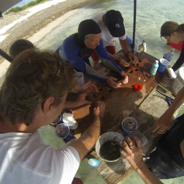 GOPR0285 GOPR0285
