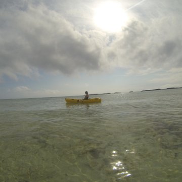GOPR0290 GOPR0290