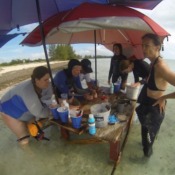 GOPR0291 GOPR0291