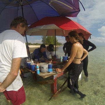 GOPR0295 GOPR0295
