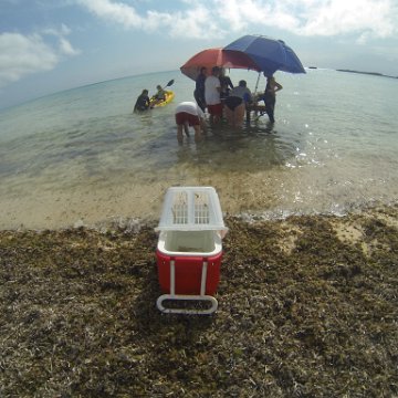 GOPR0297 GOPR0297