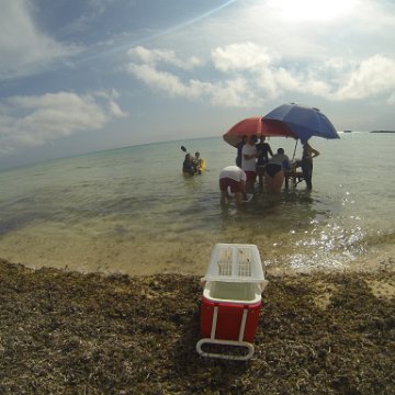 GOPR0298 GOPR0298