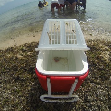 GOPR0299 GOPR0299