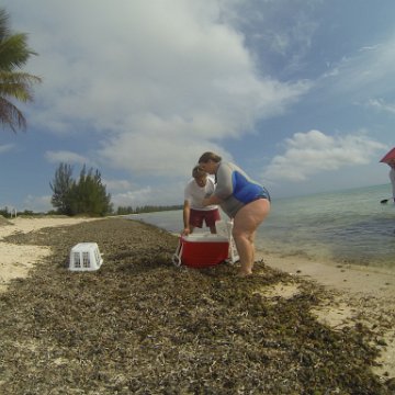 GOPR0300 GOPR0300
