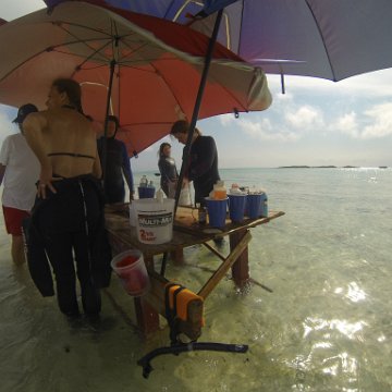 GOPR0301 GOPR0301