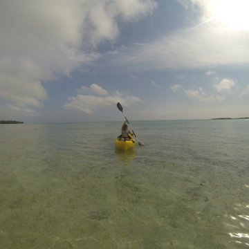 GOPR0304 GOPR0304