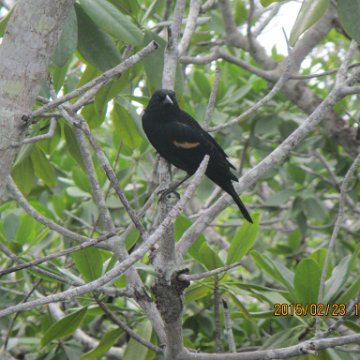 IMG_0517 IMG_0517